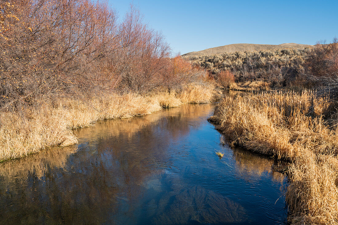 River by autumn trees