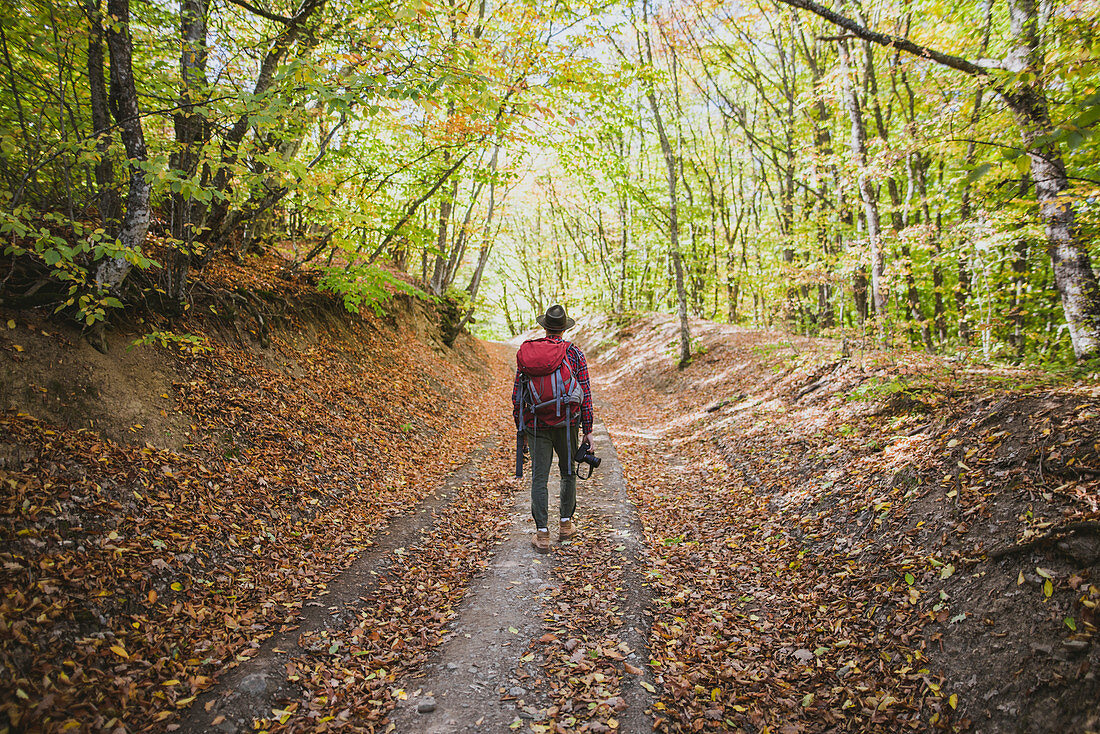 Mann wandert im Wald