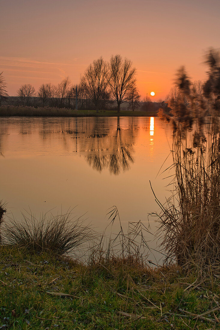 Sunset at the landscape lake in Seinsheim, wine paradise, Kitzingen, Lower Franconia, Franconia, Bavaria, Germany, Europe