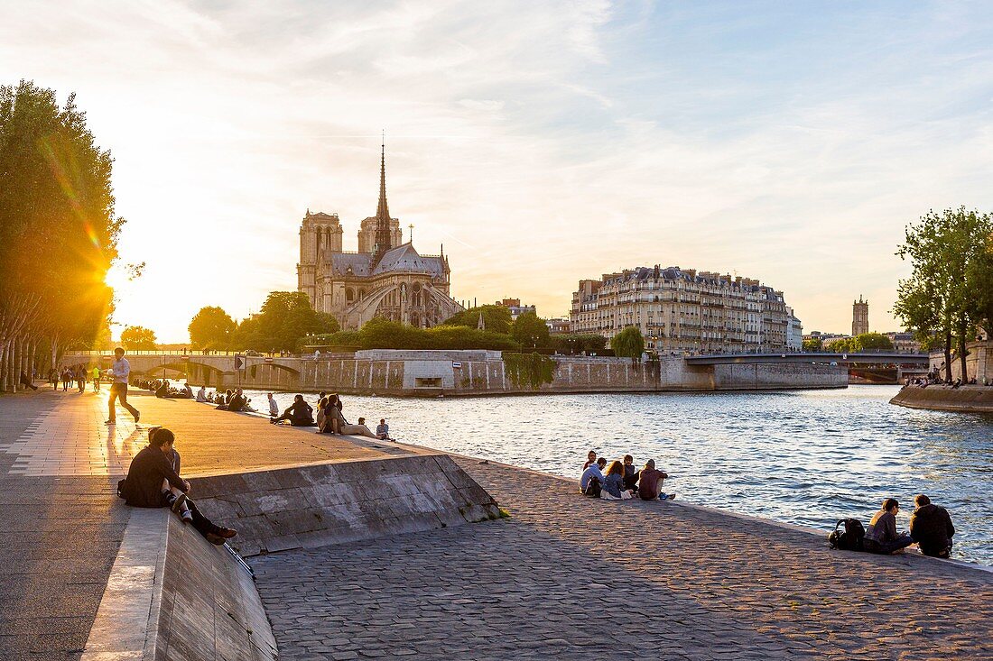 Frankreich, Paris, UNESCO-Weltkulturerbegebiet, Quai de la Tournelle, Sonnenuntergang mit Kathedrale Notre Dame