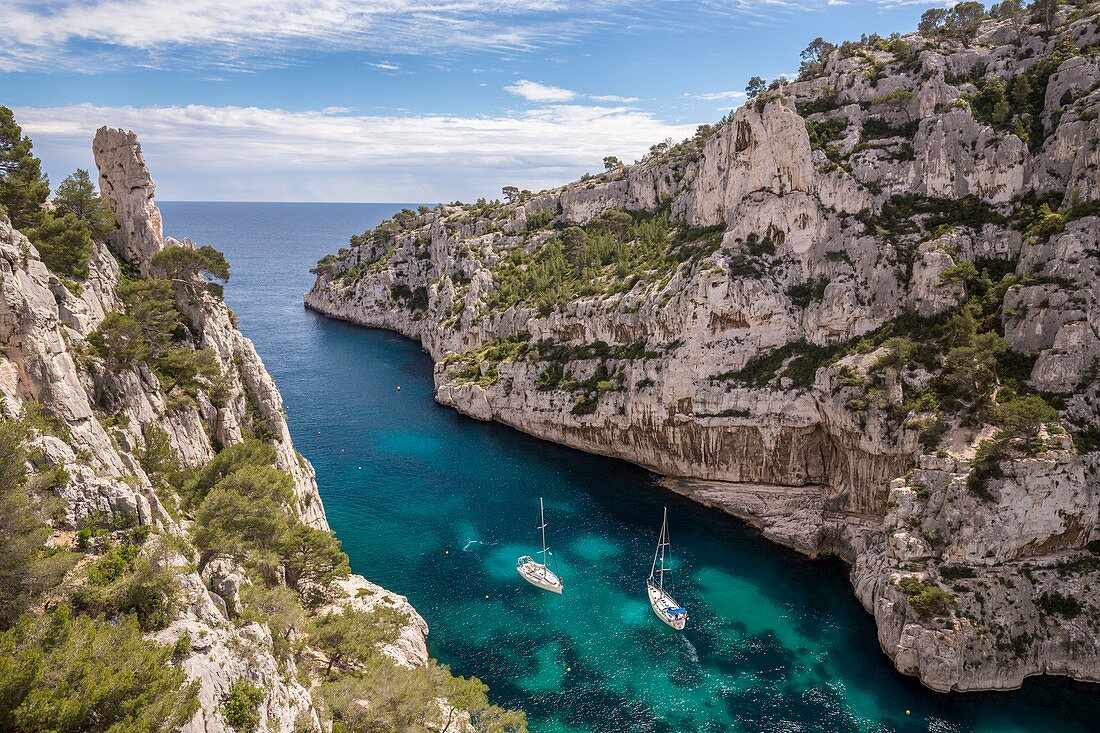 France, Bouches-du-Rhône, National park of Calanques, Marseille, 9th district, creek of En-Vau