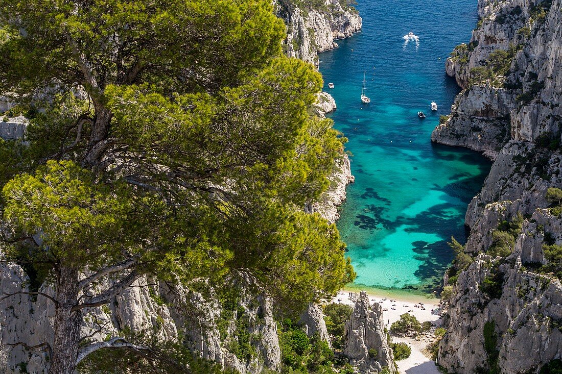 France, Bouches-du-Rhône, National park of Calanques, Marseille, 9th district, creek of En-Vau