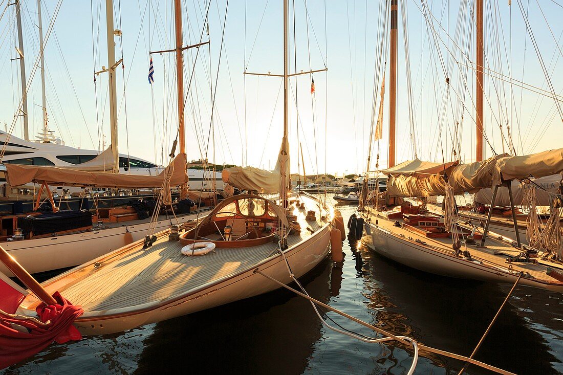 France, Var, Saint Tropez, the port