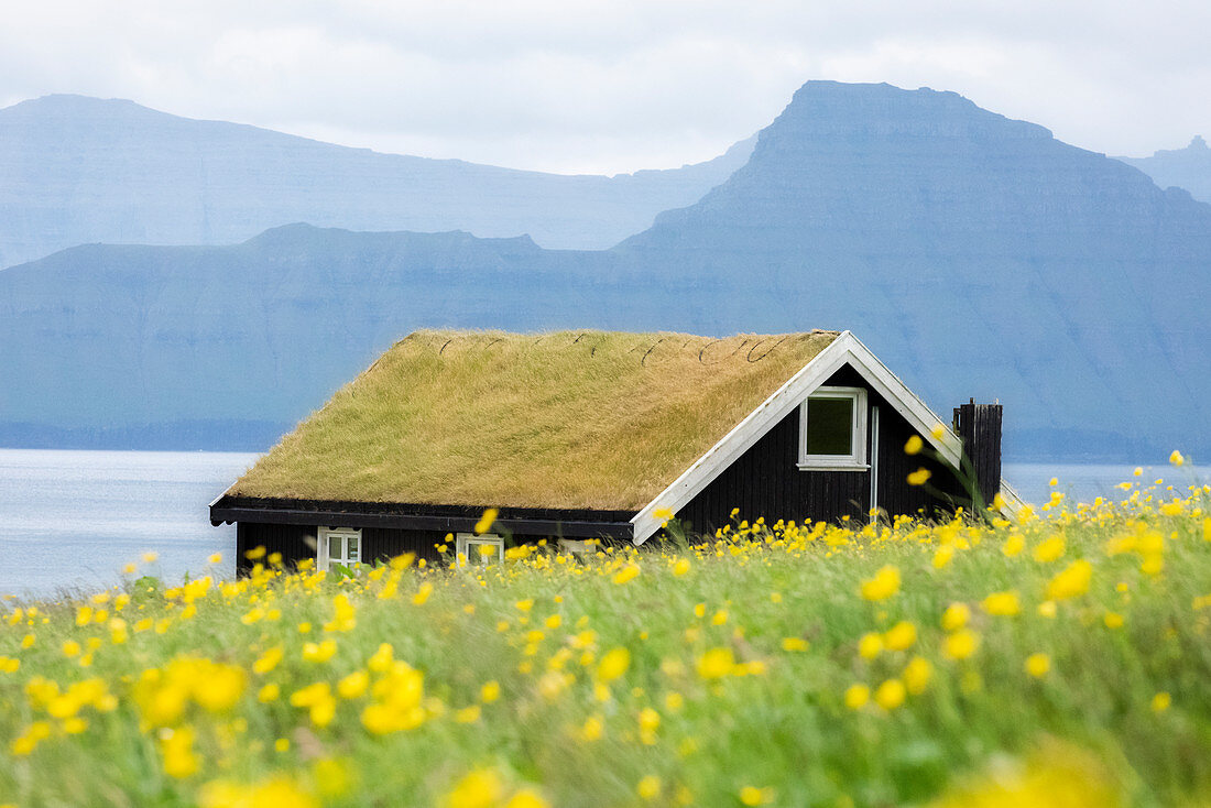 Ein typisches Haus in Gjogv, Insel Eysturoy, Färöer-Inseln, Dänemark, Europa