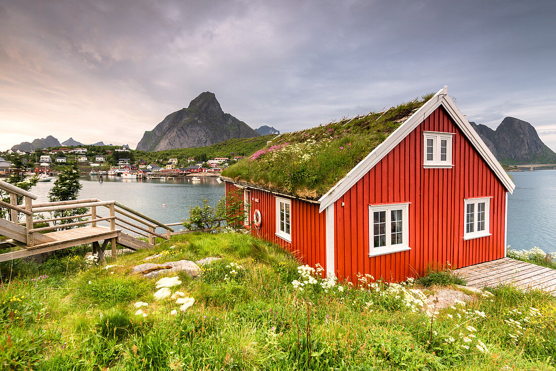 Typical Rorbu surrounded by grass, sea and mountains in background, Reine, Nordland county, Lofoten Islands, Northern Norway, Europe