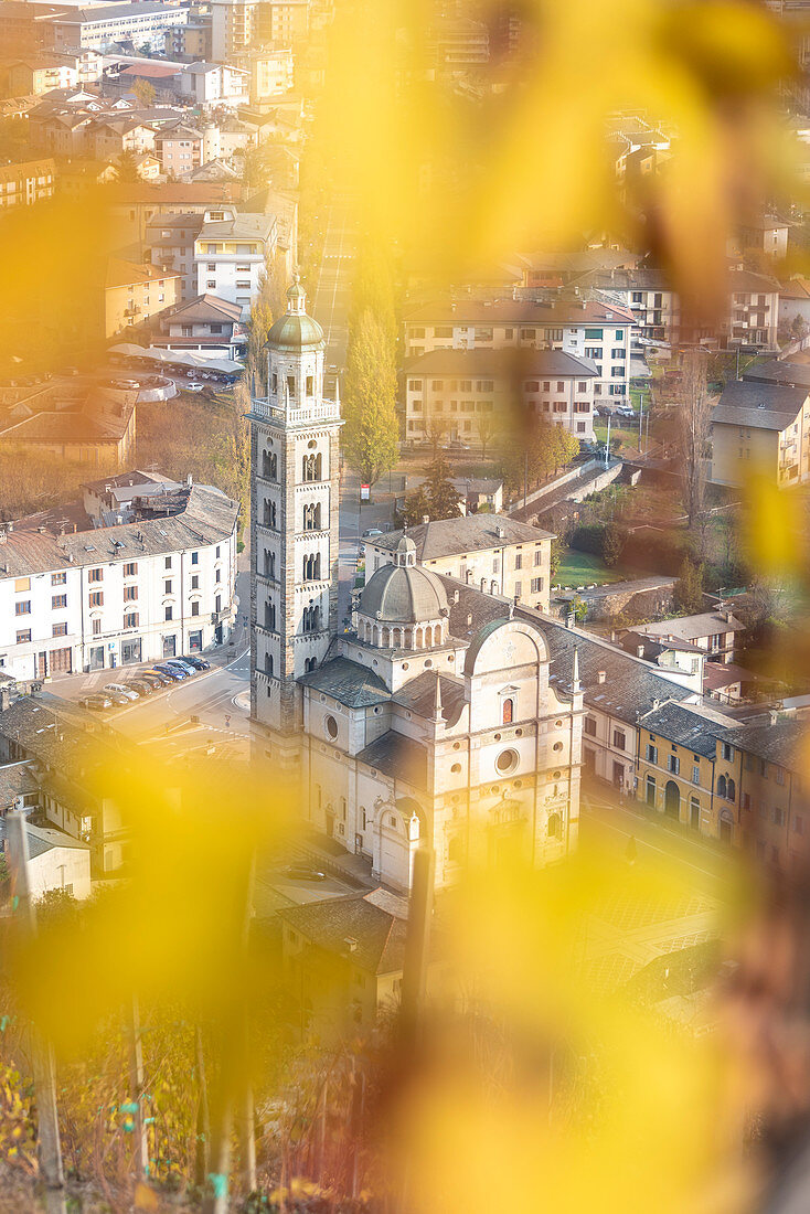The Sanctuary of Madonna di Tirano framed from yellow leaves of vineyards, Tirano, Sondrio Province, Valtellina, Lombardy, Italy, Europe