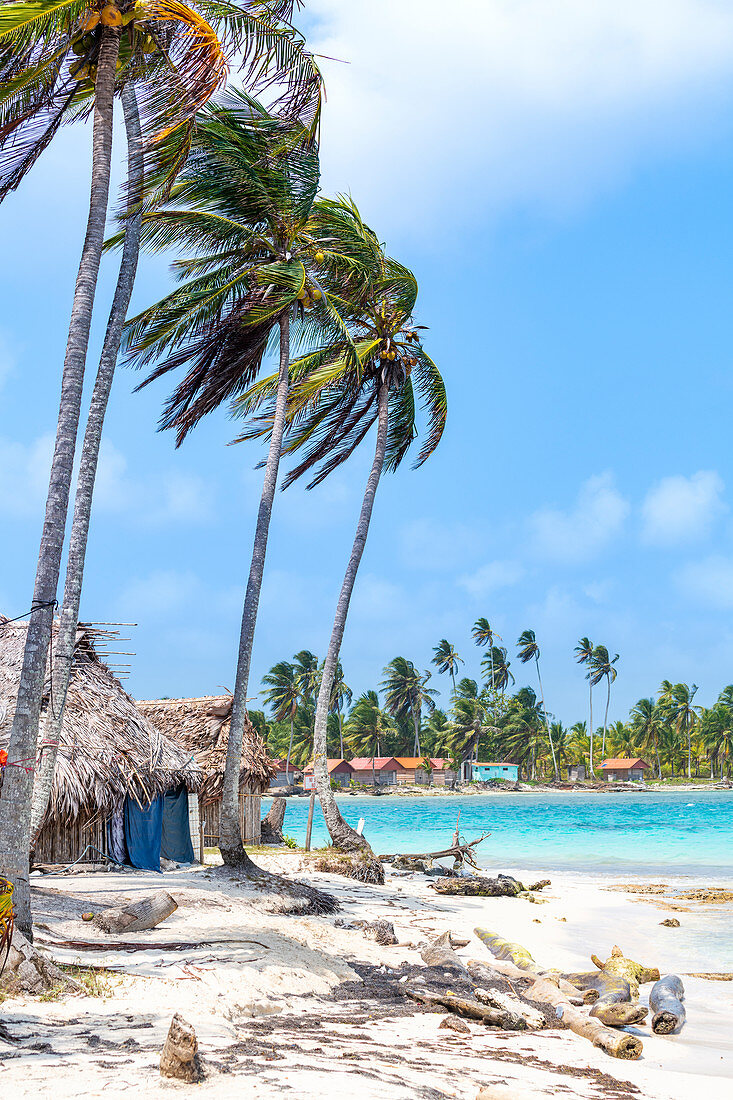 Isla Perro (Dog Island), San Blas … – License image – 71333887 lookphotos