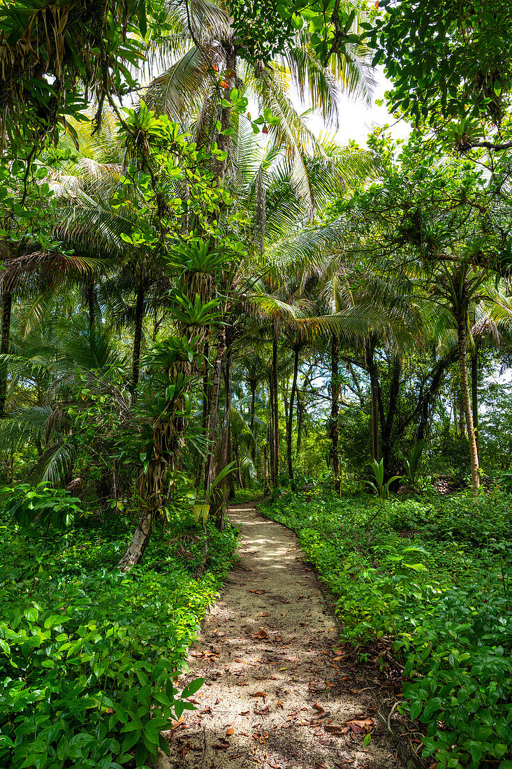 Zapatilla island, Bocas del Toro province, Panama, Central America