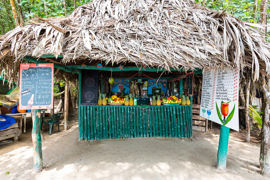 Playa Estrella (Starfish beach), Colon island, Bocas del Toro province, Panama, Central America