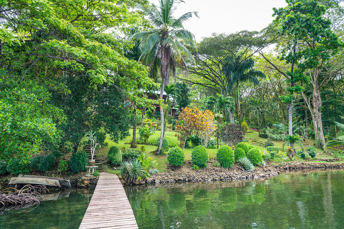 Kakaofarm, Provinz Bocas del Toro, Panama, Mittelamerika