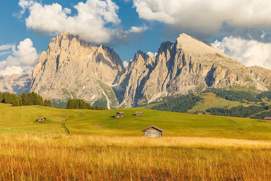 Alpe di Siusi/Seiser Alm, Sassolungo and Sassopiatto Dolomites, South Tyrol, Bolzano province, Trentino Alto Adige, Italy, Europe