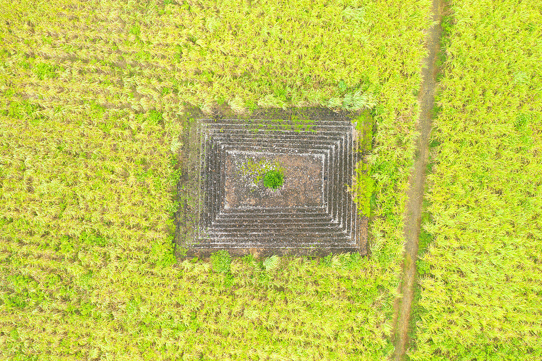 aerial view of histoic buildings, surrounded by sugar cane fields, Mauritius, Indian Ocean, Africa