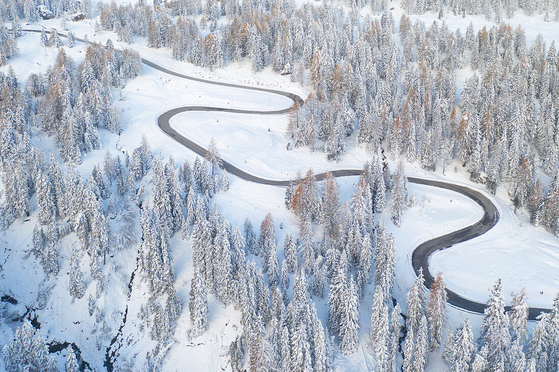 the black snake that leads to Giau Pass, surrounded by trees and snow-covered meadows, Unesco World Heritage Site, Belluno province, Veneto district, Italy, Europe