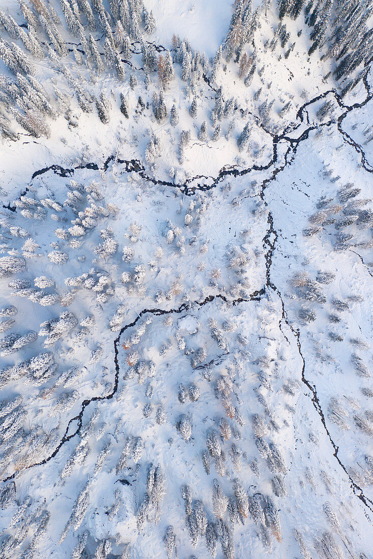 Eine vertikale abstrakte Drohnenaufnahme von dem Wald bei Passo Giau, Dolomiten, Gemeinde Cortina d'Ampezzo, Provinz Belluno, Region Venetien, Italien, Europa