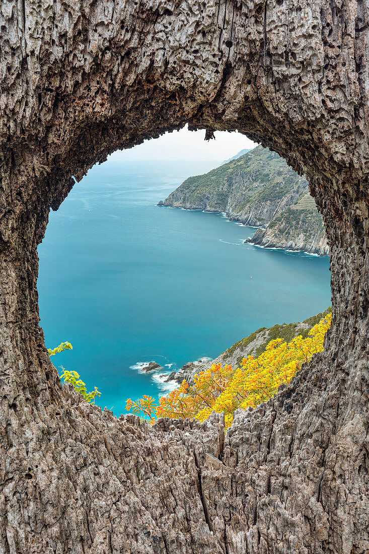 Eine besondere Aufnahme von der Klippe der Cinque Terre, Nationalparks Cinque Terre, Gemeinde Riomaggiore, Provinz La Spezia, Region Ligurien, Italien, Europa