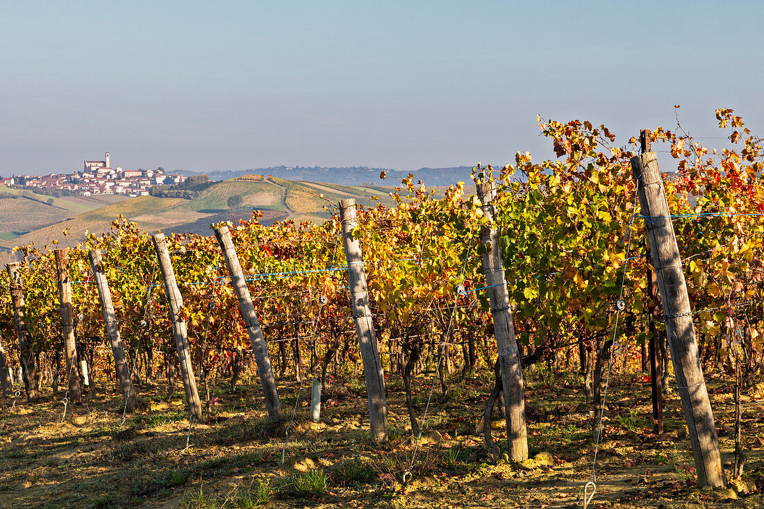 Monferrato, Provinz Asti, Piemont, Italien, Herbst in der Weinregion Monferrato, Dorf Grana