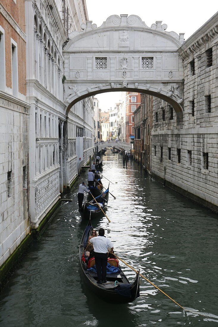 Italien, Venedig, die Stadt während der Biennale 2015