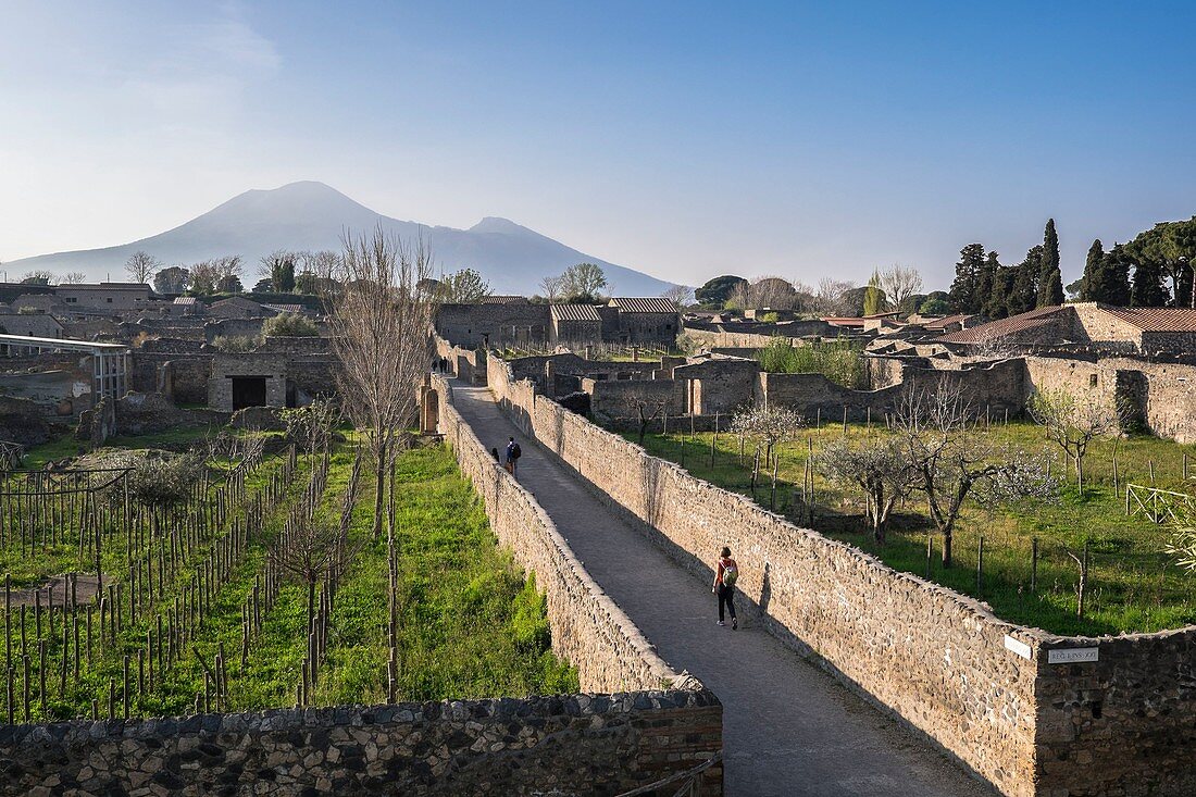 Italy, Campania region, archeological site of Pompeii listed by UNESCO as a World Heritage Site, ancient city of the Roman Empire destroyed by the eruption of Mount Vesuvius in AD 79, Mount Vesuvius in the background