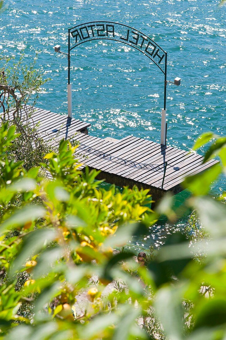 Italy, Lombardy, Lago di Garda, Limone Sul Garda, mediterranean climate allowing olive and lemon trees