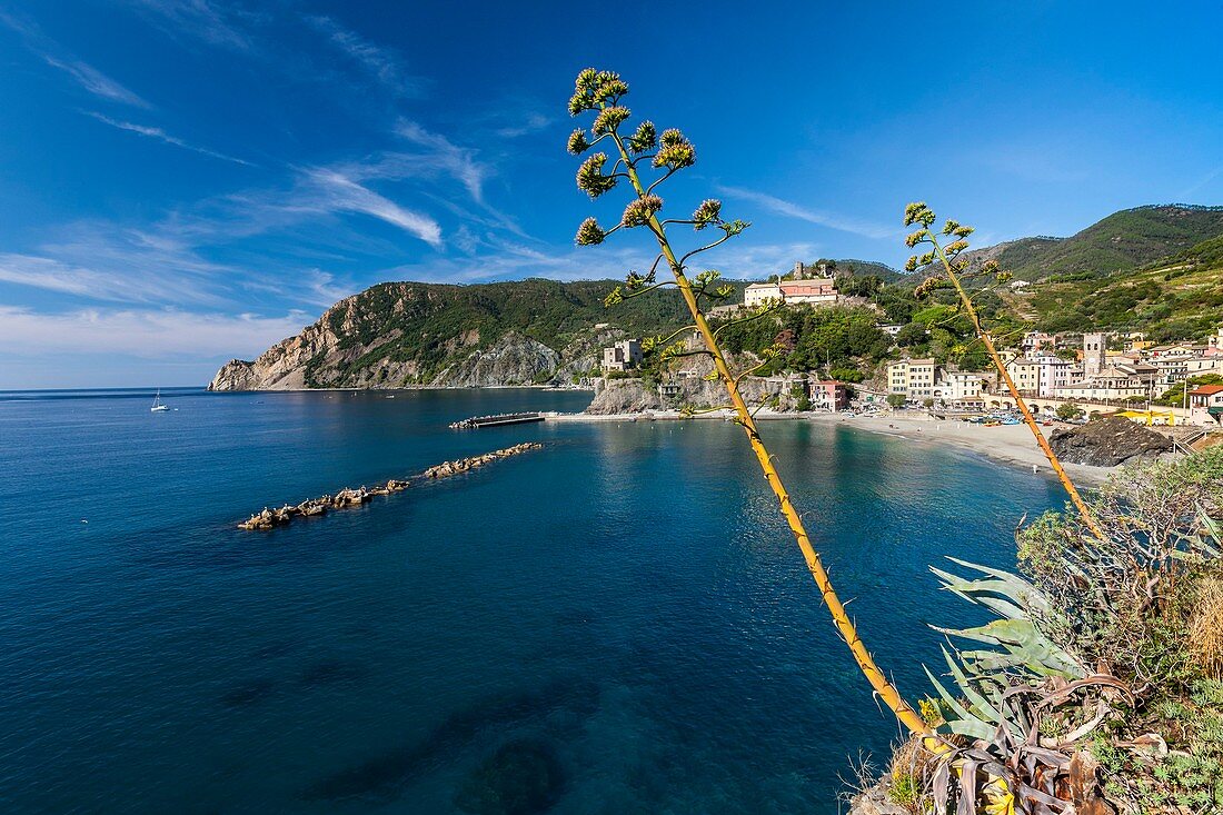 Italien, Ligurien, Nationalpark Cinque Terre, UNESCO-Weltkulturerbe, Monterosso al Mare