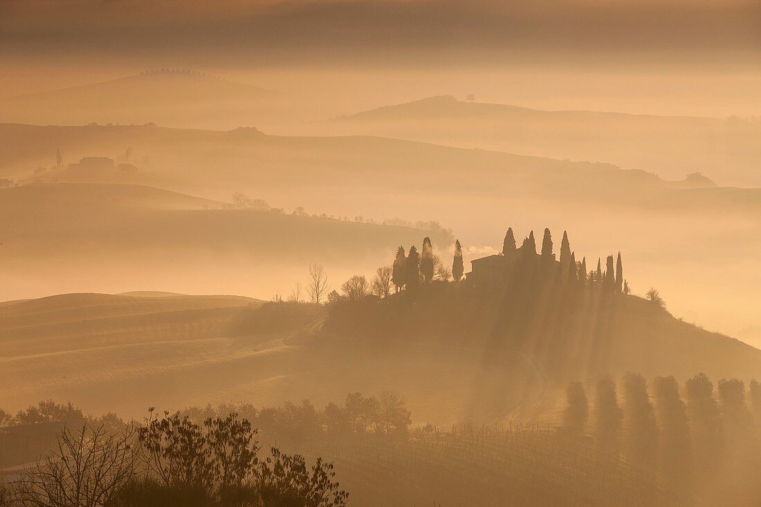 Italy, Tuscany, Siena district, Orcia Valley, listed as World Heritage by UNESCO, Podere Belvedere near San Quirico d'Orcia