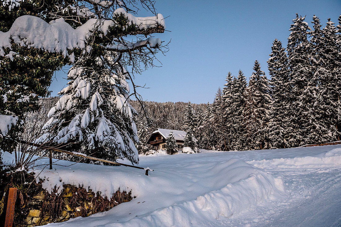 Hütte in verschneiter Winterlandschaft mit Nadelwald bei Sonnenaufgang, Himmelberg, Kärnten, Österreich