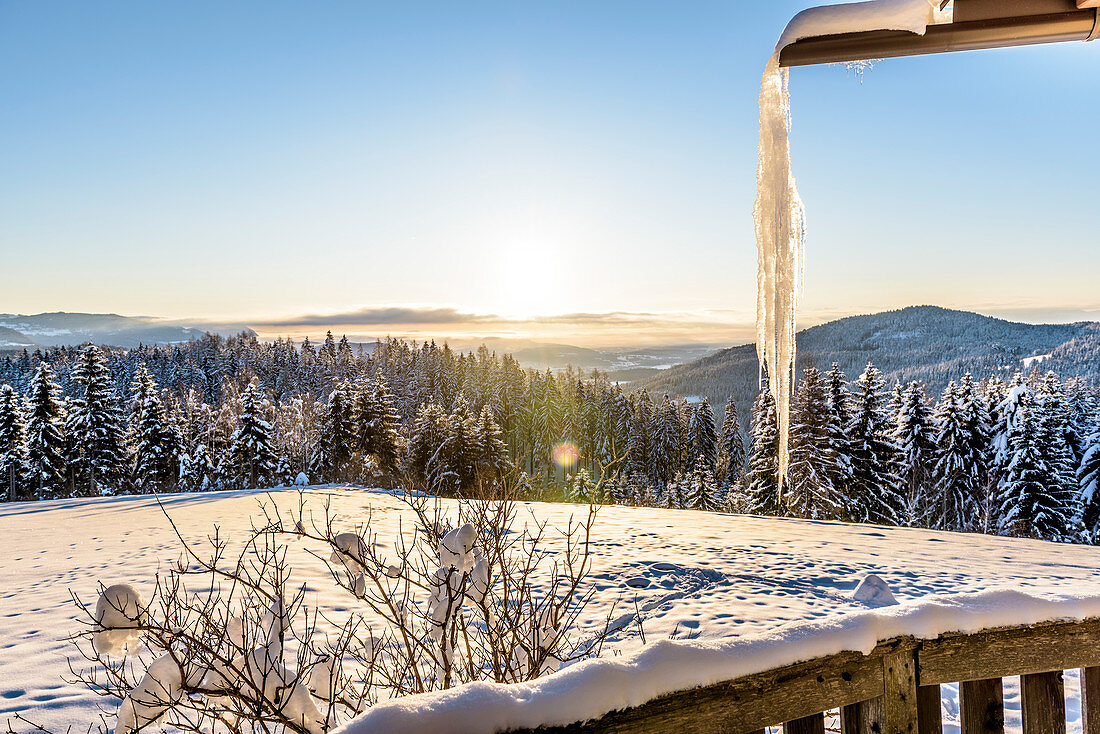 Verschneite Winterlandschaft mit Nadelwald bei Sonnenaufgang, Himmelberg, Kärnten, Österreich
