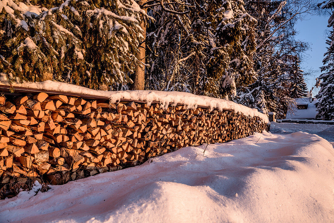 Stapel Brennholz in verschneiter Winterlandschaft mit Nadelwald bei Sonnenaufgang, Himmelberg, Kärnten, Österreich