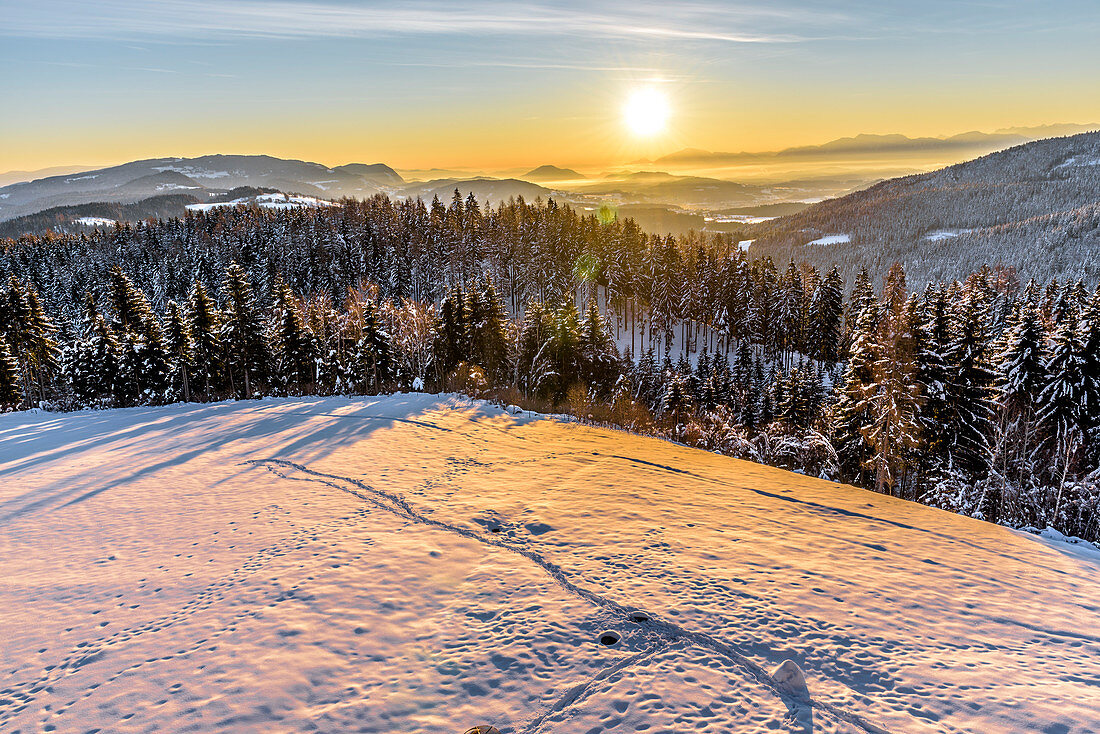 Snowy winter landscape with coniferous forest at sunrise, Himmelberg, Carinthia, Austria