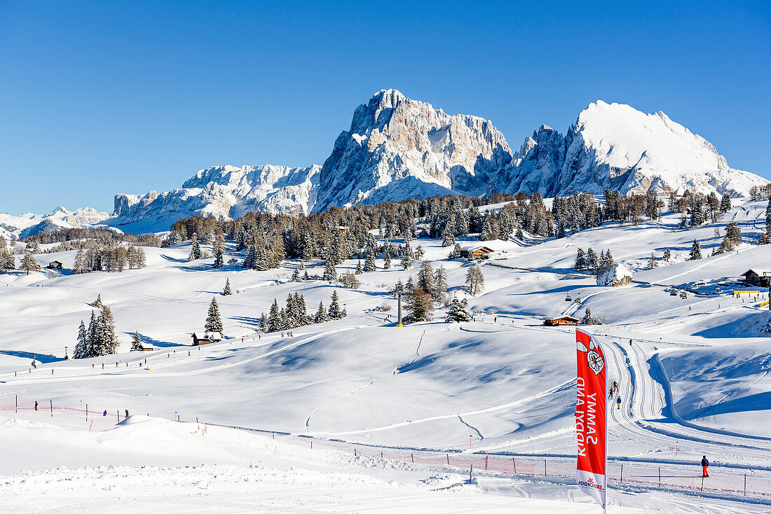 Cross-country skiing in the Seiser Alm ski area, South Tyrol, Italy