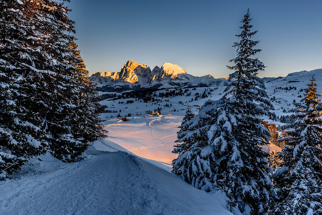 Sunset in the Seiser Alm ski area, South Tyrol, Italy