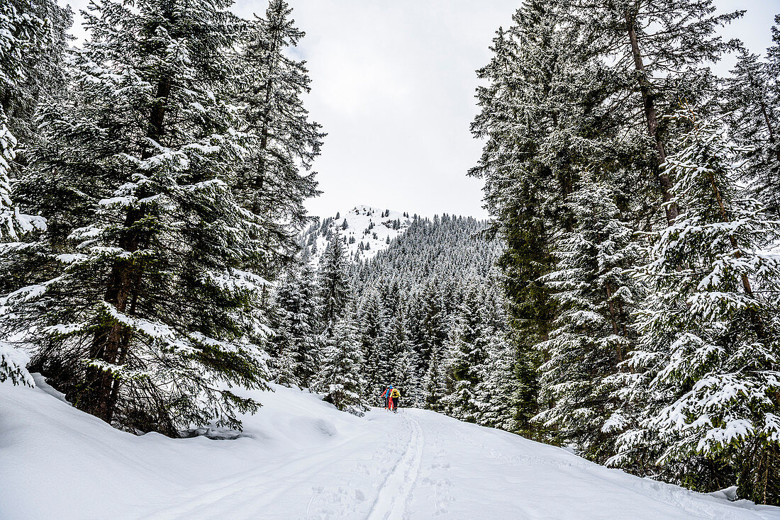 Skitour gehen Pflerschtal, Südtirol, Italien