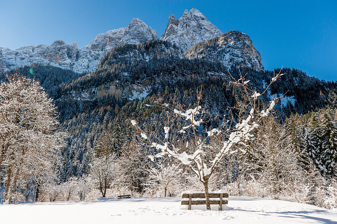 Snowy winter landscape, Bad Ratzes, South Tyrol, Italy