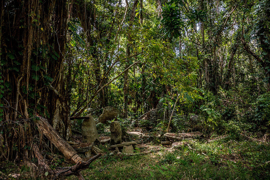 Historic ritual site, Wala Island, Malekula, Vanuatu, South Pacific, Oceania