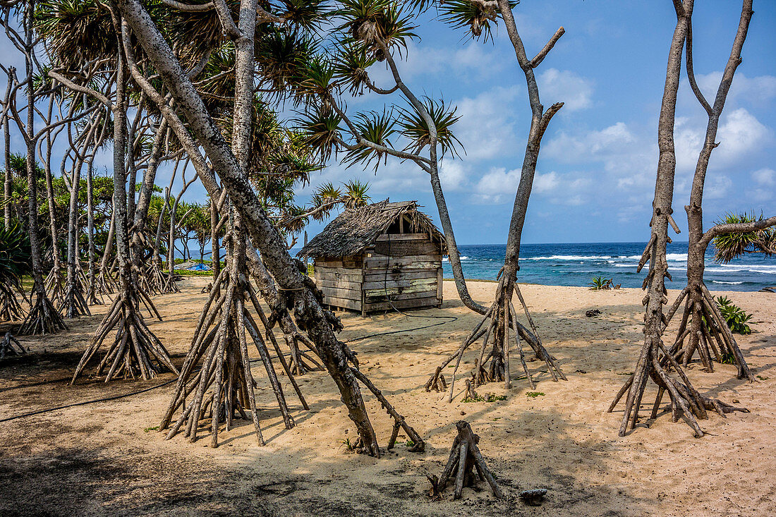 Strand mit Mangroven auf Tanna, Vanuatu, Südsee, Ozeanien