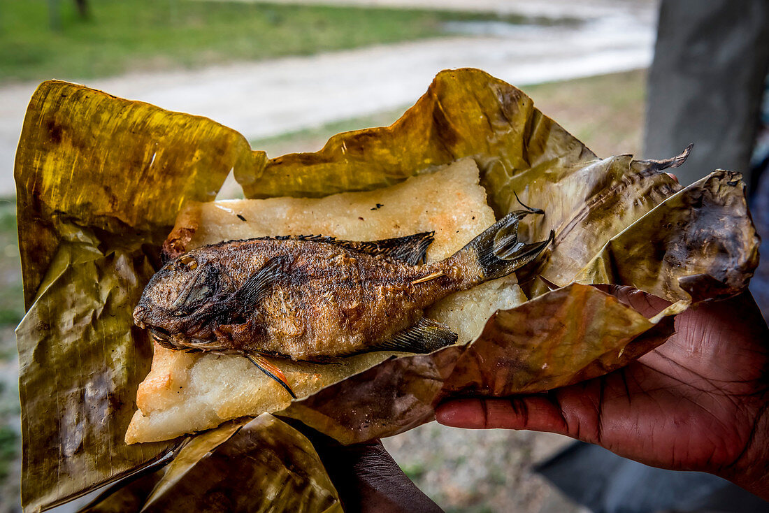 Grilled fish on Laplap, Efate, Vanuatu, South Pacific, Oceania