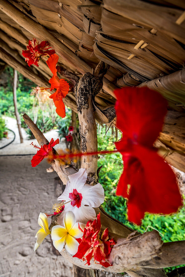 Colorful tropical flowers in a hut, Efate, Vanuatu, South Pacific, Oceania