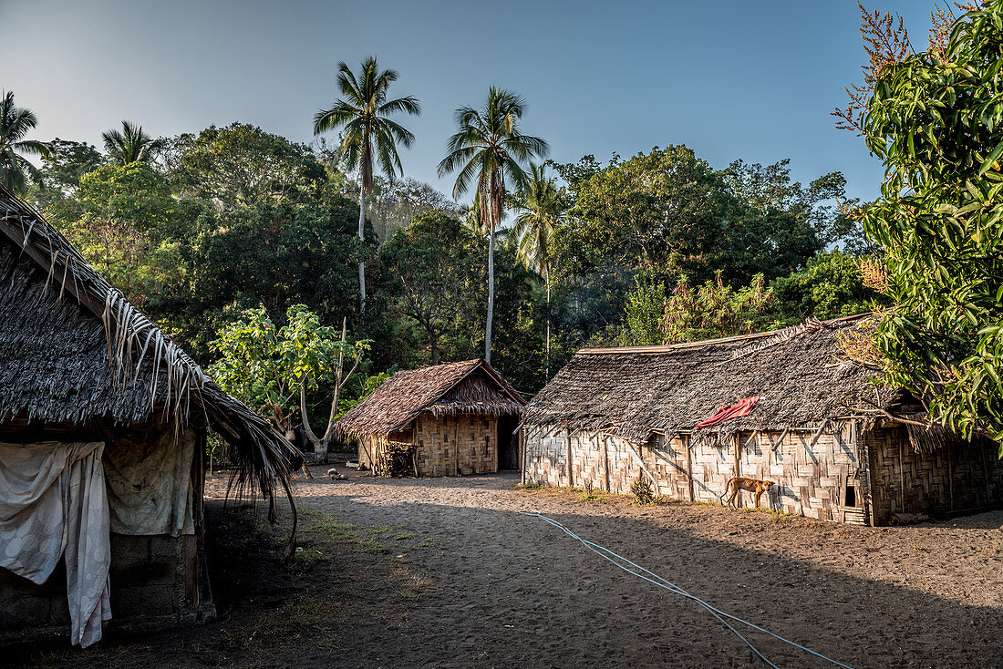 Traditional straw huts on Malekula, Vanuatu, South Pacific, Oceania