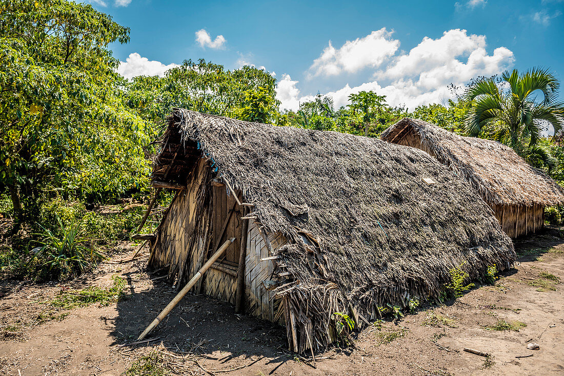 Traditional shelter during storm, Tanna, Vanuatu, South Pacific, Oceania