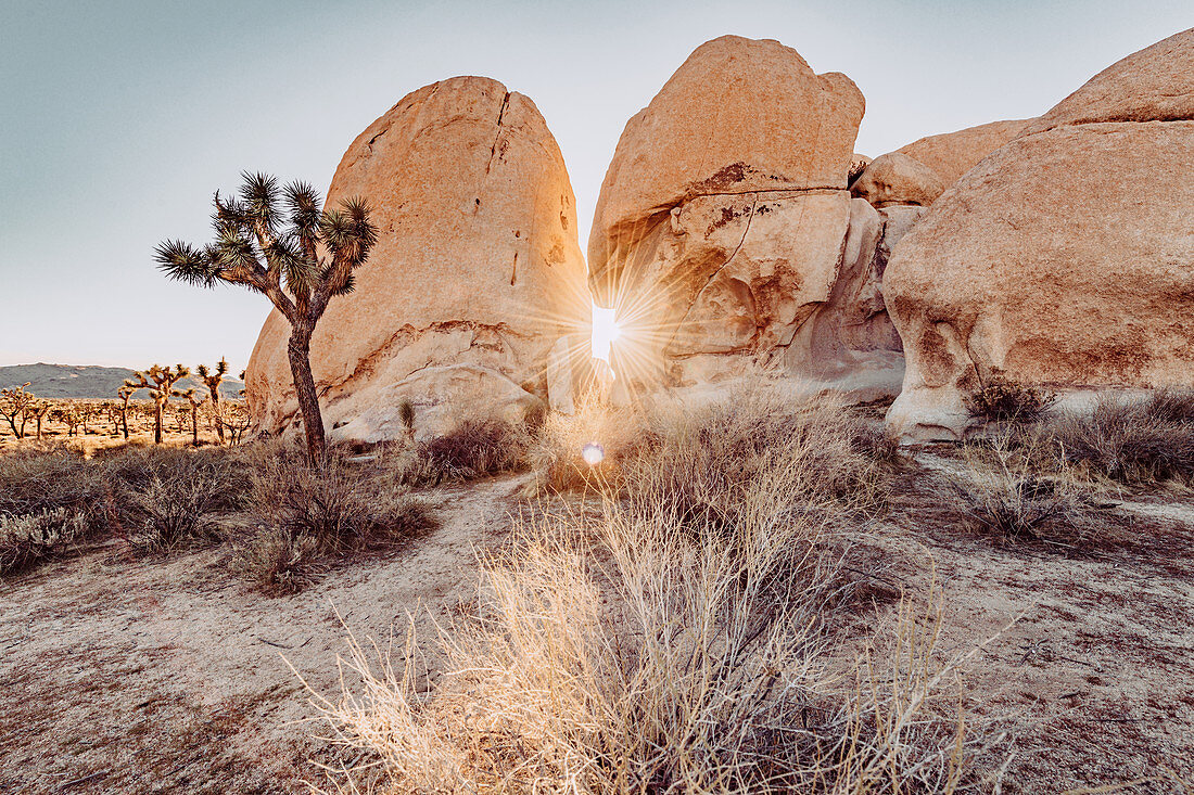 Sonne scheint durch Felsspalt im Joshua Tree National Park, Joshua Tree, Los Angeles, Kalifornien, USA, Nordamerika