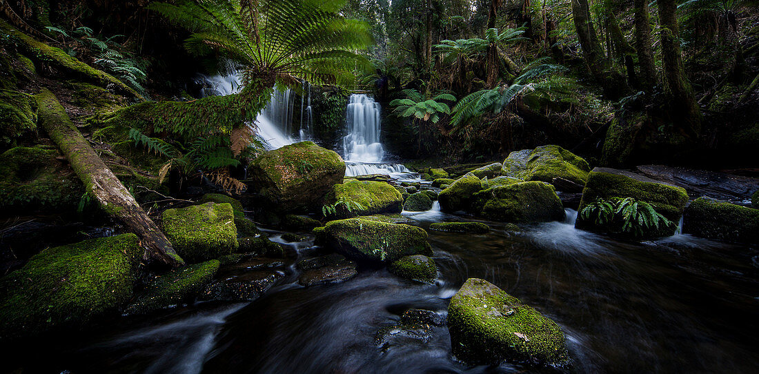 Horseshoe Falls, Mt. Field National Park, Tasmania