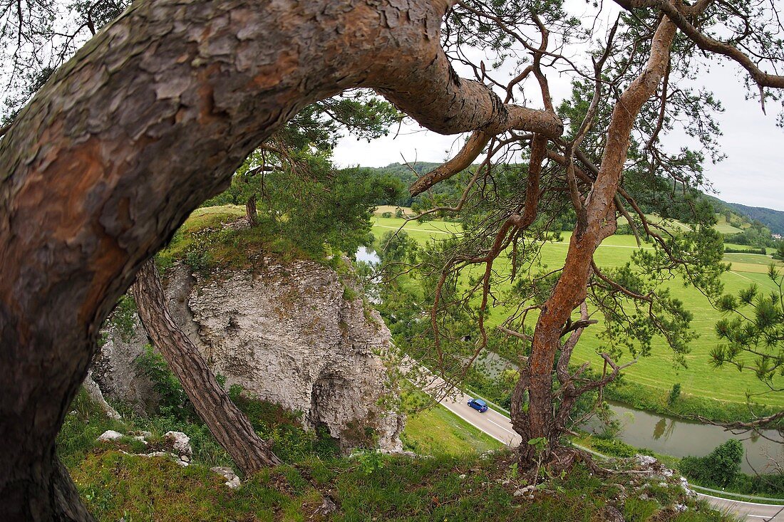 12 Apostel bei Solnhofen, Landschaft, Felsen, Wiese, Altmühltal, Oberbayern, Bayern, Deutschland