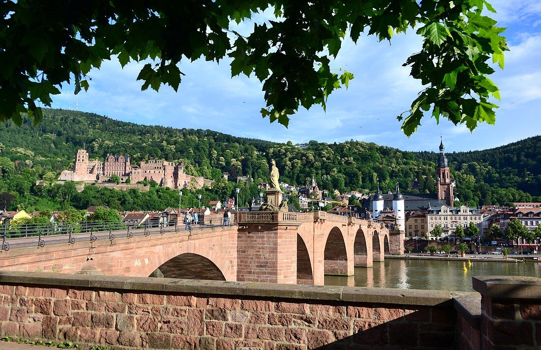 Old bridge and castle, view over the Neckar to Heidelberg, Middle Ages, forest, arch bridge, castle, Baden-Württemberg, Germany