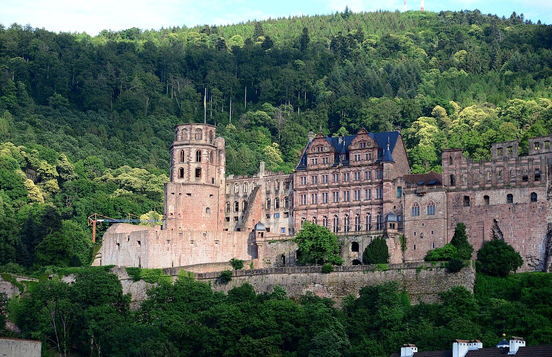 Burg von Heidelberg am Neckar, Mittelalter, Wald, Ansicht, Ruine, Baden-Württemberg, Deutschland