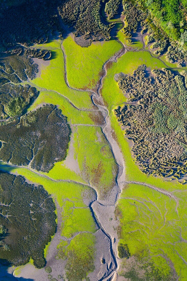 Aerial View, Campiezo river, Ría de Ajo, Ajo, Bareyo Municipality, Cantabria, Spain, Europe