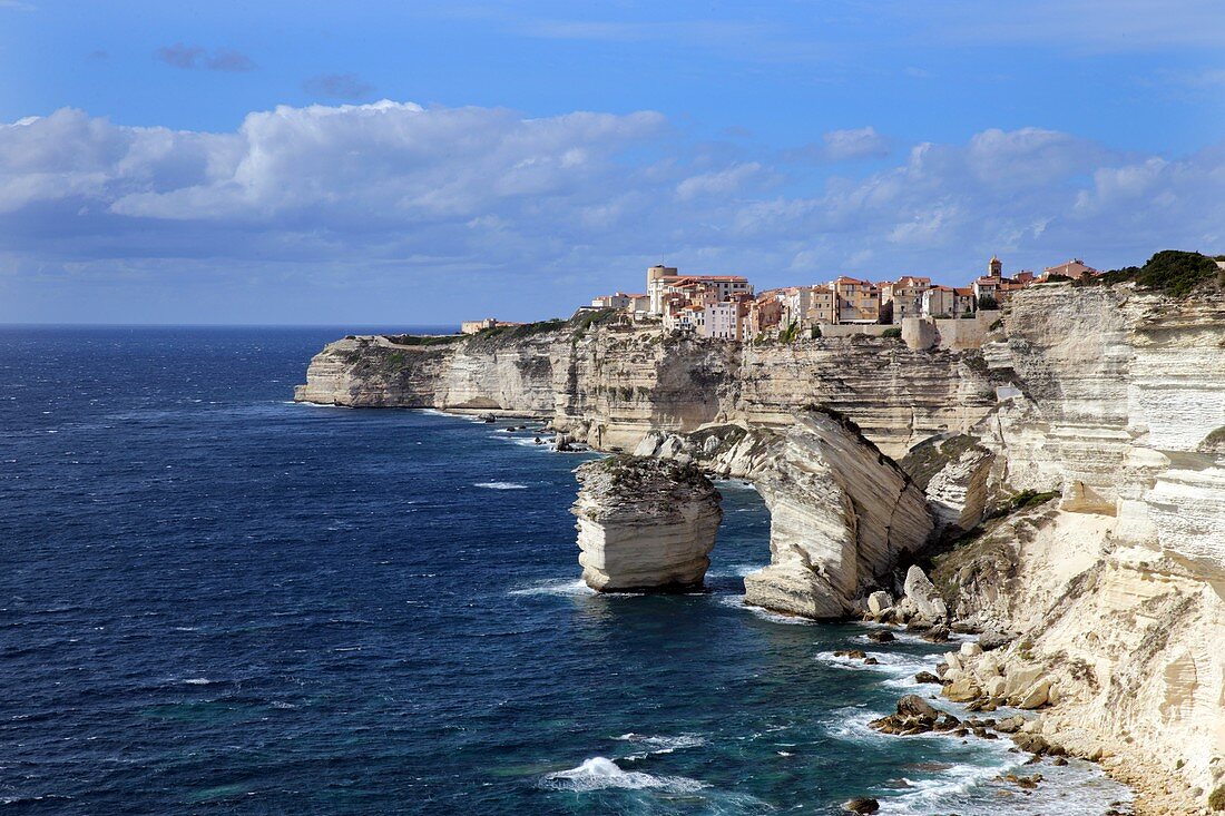 Felslinie mit den Häusern von Bonifacio bei sonnigem Wetter, Korsika, Frankreich, Europa