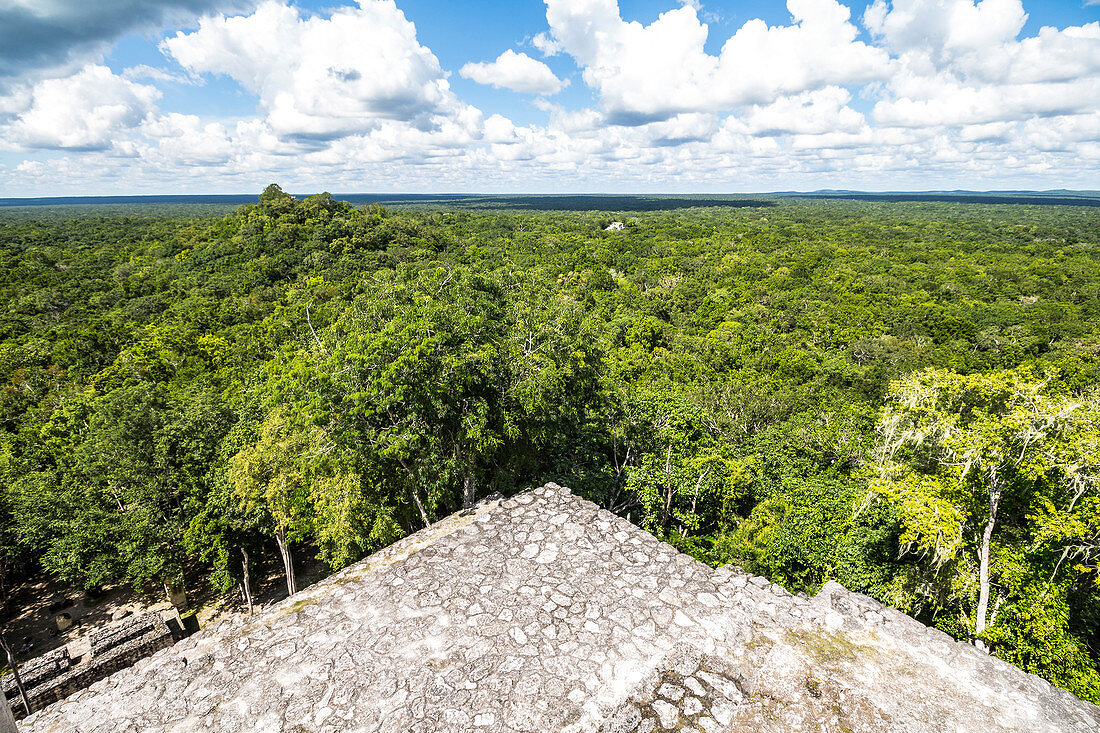 Aussicht auf Dschungel von Calakmul Tempel Gelände, Yucatan Halbinsel, Mexiko