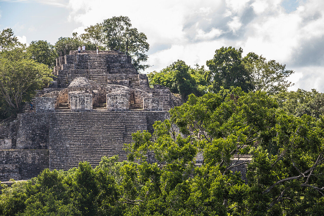 Mayan pyramid on Calakmul temple grounds in the jungle, Yucatan Peninsula, Mexico