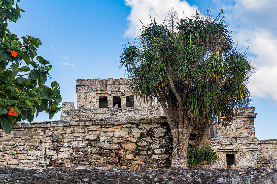 Ruins in the grounds of the Mayan sites of Tulum, Quintana Roo, Yucatan Peninsula, Mexico