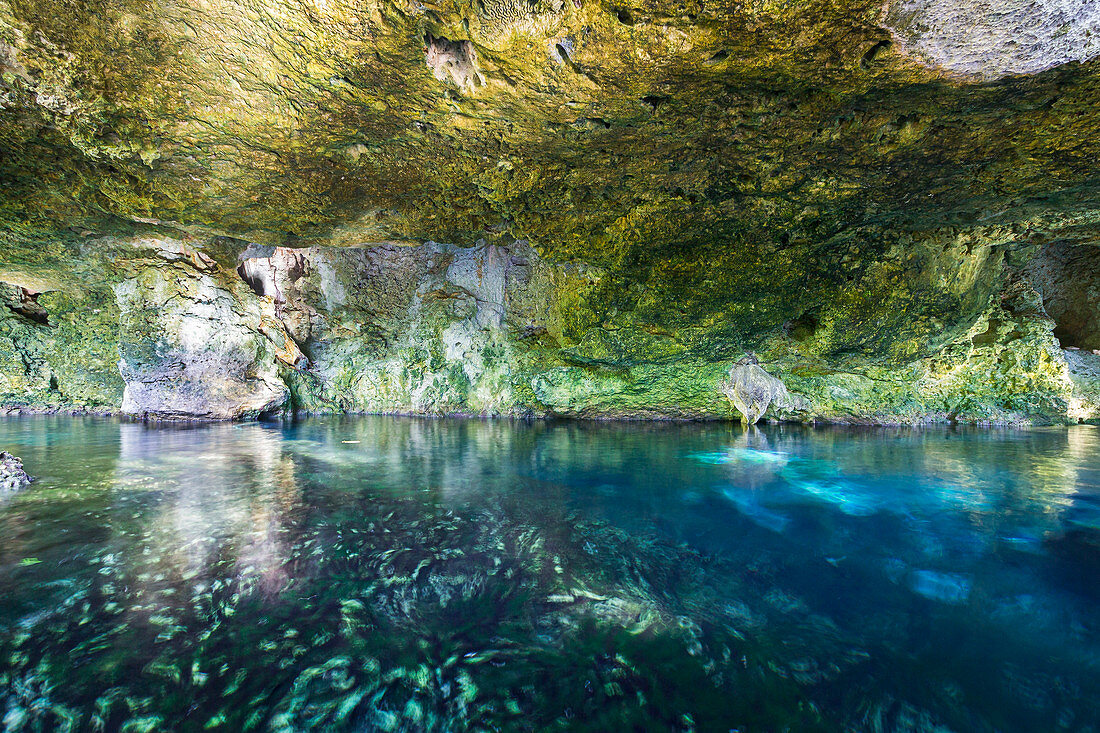 Gran Cenote - offene mit Wasser gefüllte Karsthöhle in Tulum. Quintana Roo, Yucatan Halbinsel, Mexiko